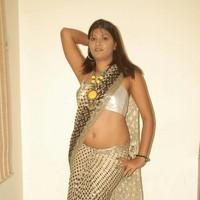 Hema Jelloju in saree Exclusive Hot Pictures | Picture 93300